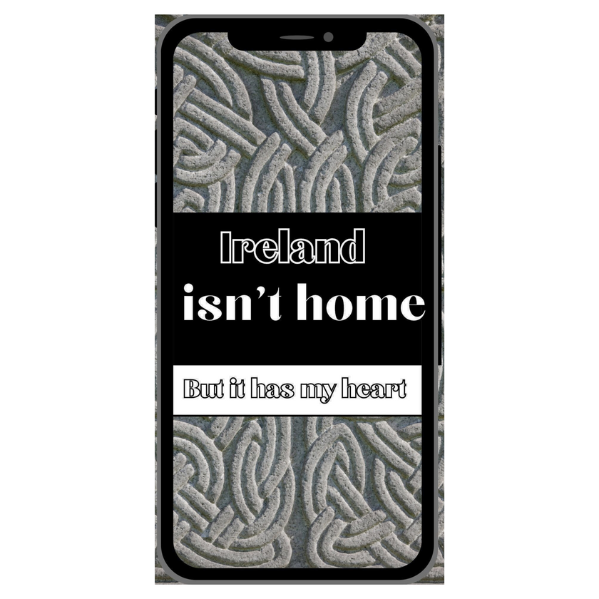 Case Irl 002