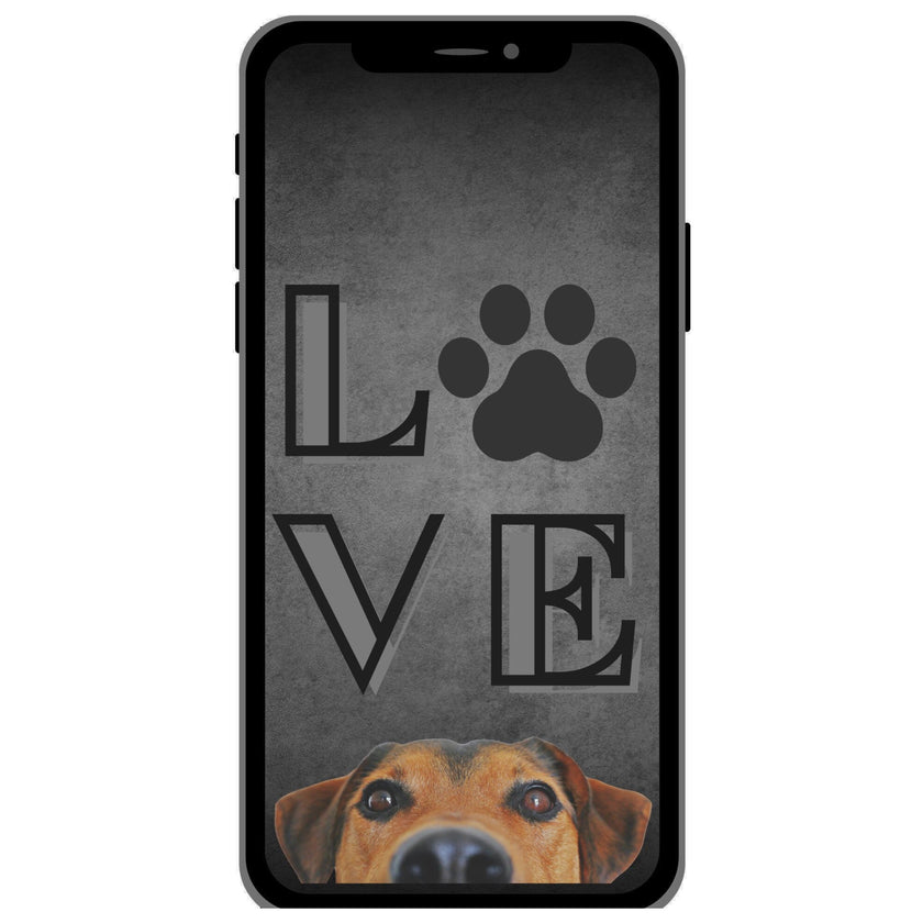 Case Pet 012