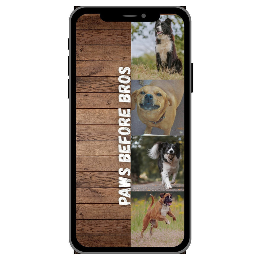 Case Pet 010
