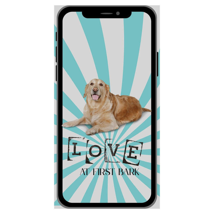 Case Pet 009