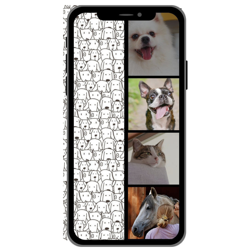 Case Pet 008
