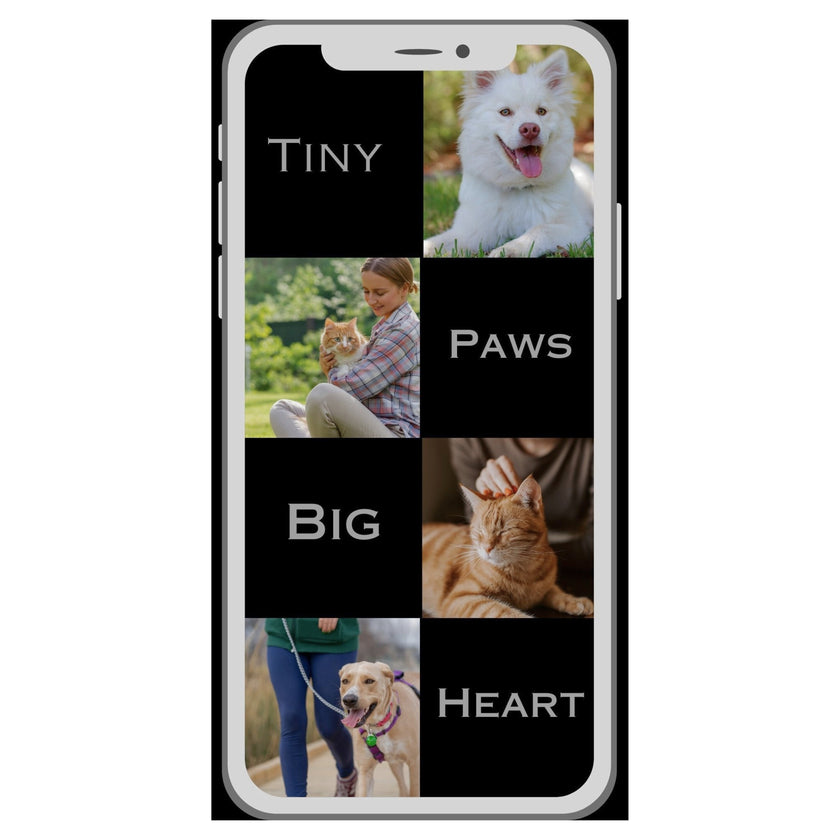Case Pet 007