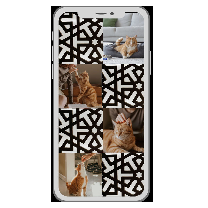 Case Pet 006