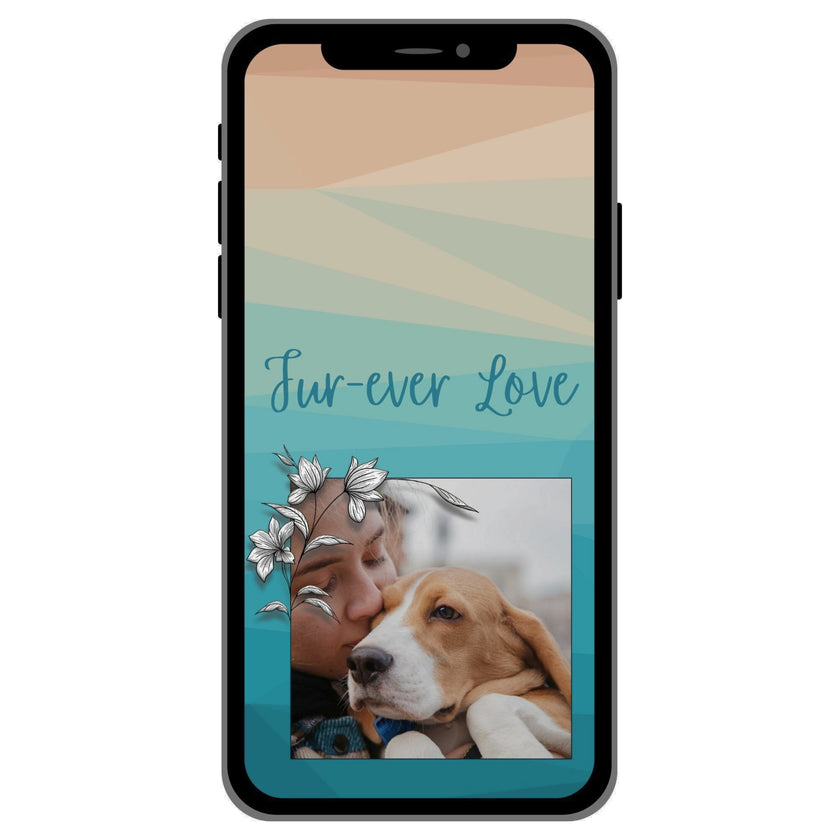 Case Pet 005
