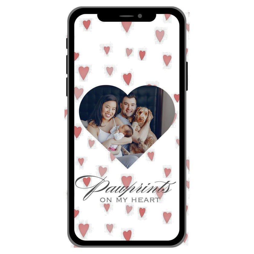 CASE-PET-004