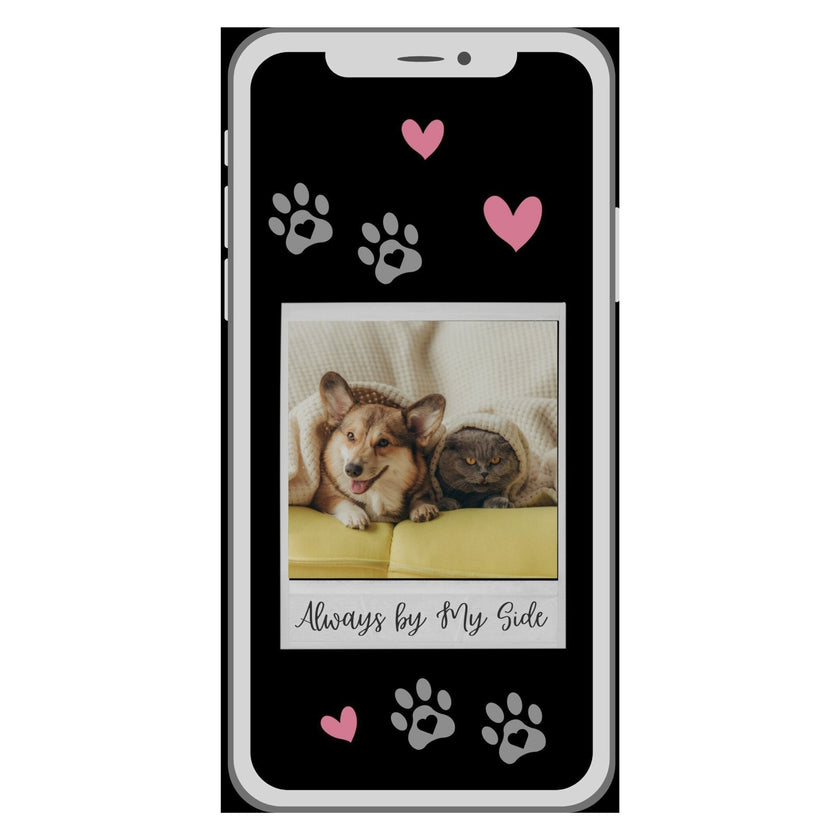 Case Pet 002