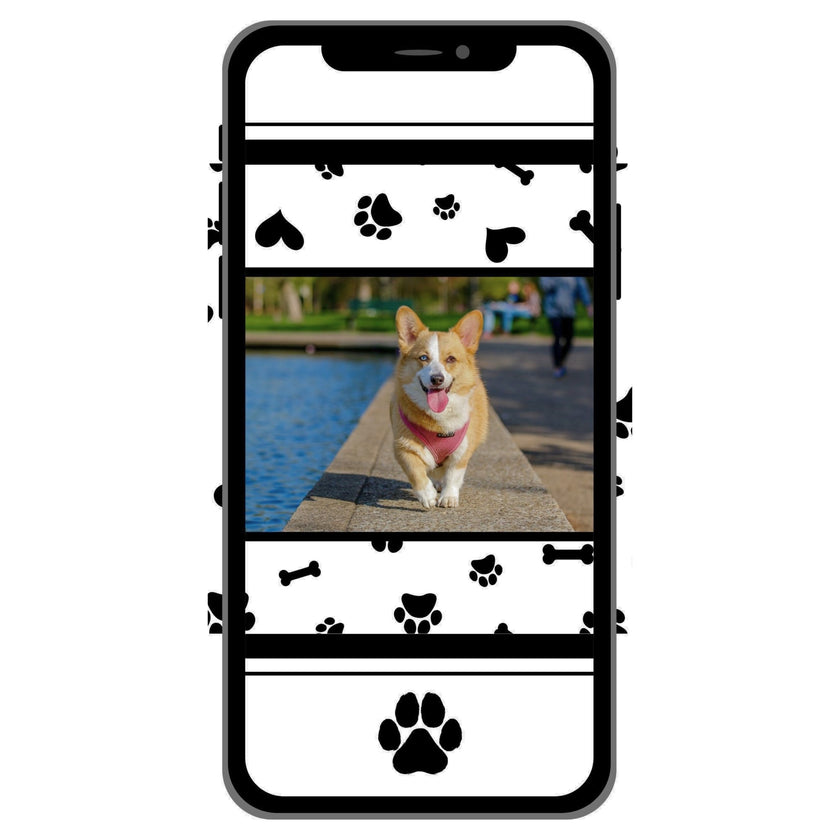 CASE-PET-001